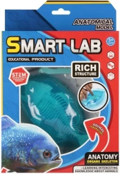 Επιστημονικό σετ ανατομίας – ψάρι