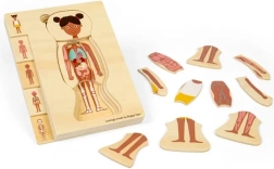 Bigjigs Toys ξύλινο παζλ ανατομίας – κορίτσι