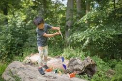 Παιχνίδι Στο Κυνήγι Καβουριών