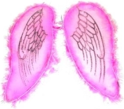 Ροζ φτερά για άγγελο και νεράιδα