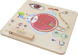 Masterkidz Εκπαιδευτικός Πίνακας Όρασης Montessori