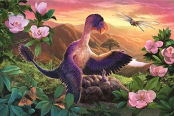 Παζλ Απίθανοι δεινόσαυροι: Microraptor στη φωλιά, 54 κομμάτια