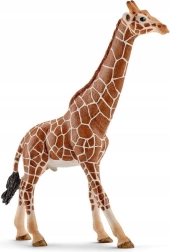Φιγούρα αρσενικής καμηλοπάρδαλης Schleich Wild Life