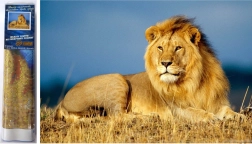 Διαμαντέζικη ζωγραφική Λιονταρίσιο Μεγαλείο 30x40 cm