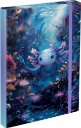 Φάκελοι για τετράδια A4 Axolotl