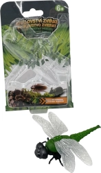 Έρποντας λιβελούλα – διαδραστικό παιχνίδι για παιδιά