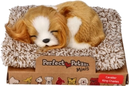 Κοιμισμένο κουταβάκι Cavalier King Charles Perfect Petzzz