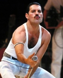 Διαμαντένια ζωγραφική FREDDIE MERCURY 30 × 40 cm