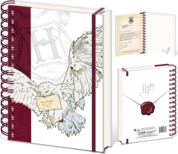 Harry Potter σπιράλ μπλοκ Special Delivery