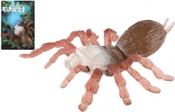 Αντιστρες αράχνη με στιβαρό σώμα και σιλικονούχα πόδια