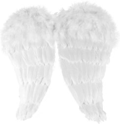 Αγγελικά φτερά με πούπουλα