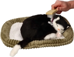 Υιοθέτησέ με αναπνέουσα ασπρόμαυρη γατούλα