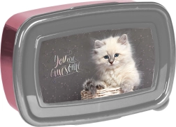 Paso δοχείο σνακ με γατάκι 750 ml