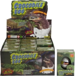 Αυγό με αναπτυσσόμενο κροκόδειλο για το νερό