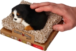 Perfect Petzzz μικρός σκύλος Bernese Mountain Dog σε κρεβατάκι