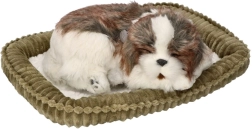 Υιοθέτησέ με – αναπνέον κουταβάκι Shih Tzu