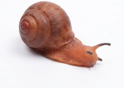 Λαστιχένιο σαλιγκάρι 13 cm