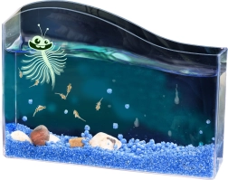 Kosmos υδάτινο κατοικίδιο – αρτεμία (γαρίδα άλμης) σετ εκκίνησης