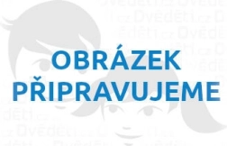 Ξύλινο παζλ Σκύλος 500 κομμάτια
