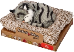Perfect Petzzz μικρός γκρι τιγρέ γατούλης