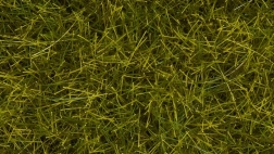 Noch στατικό γρασίδι άγριο λιβάδι 12 mm