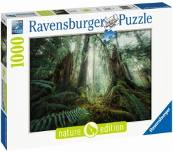 Παζλ 1000 κομματιών Δάση Ravensburger