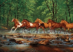 Παζλ Klus v Spring Creek 1000 κομμάτια