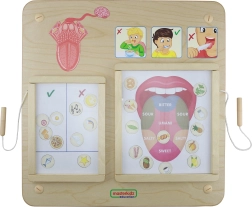 Masterkidz Εκπαιδευτικός Πίνακας Αίσθηση Γεύσης Montessori