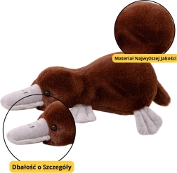 Καφέ λούτρινο παιχνίδι πλατύπους 32 cm