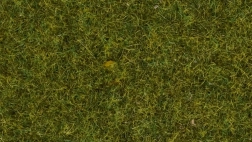 Στατικό γρασίδι Λιβάδι 4 mm