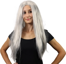 Ασημί περούκα μάγισσας με μακριά μαλλιά