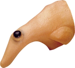 Μυτερή μύτη μάγισσας με κρεατοελιδιά