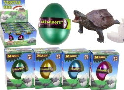 Μαγικό αυγό με αναπτυσσόμενη χελώνα 6 εκ.