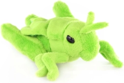 Λούτρινη ακρίδα λιβαδιού