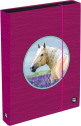 Κουτί για τετράδια A4 Jumbo OXY Sherpy Pink