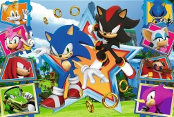 Παζλ 100 κομματιών - Γνωρίστε τον Sonic