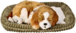 Κουταβάκι Cavalier King Charles Spaniel που «αναπνέει» – ρεαλιστικό λούτρινο παιχνίδι