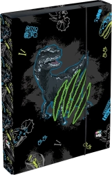 Κουτί για τετράδια A4 Jumbo OXY GO Dino