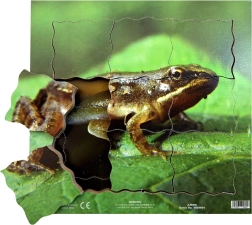 Just Jigsaws Βάτραχος και ο κύκλος ζωής του - ξύλινο πολυεπίπεδο παζλ
