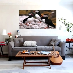 Διαμαντένια ζωγραφική XXL 120 × 60 cm – παπαγάλοι μακάο, σετ για μωσαϊκό