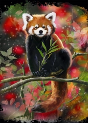 Puzzle Panda κόκκινη στο κλαδί 1000 κομμάτια