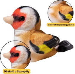 Μικρό Λούτρινο Πουλάκι Γαλαζοπαπαδίτσα