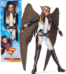DC COMICS HAWKGIRL φιγούρα δράσης 30 cm