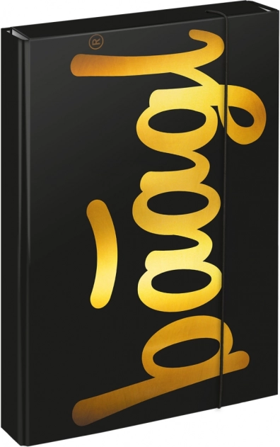 Φάκελος για σχολικά τετράδια A4 Jumbo Gold