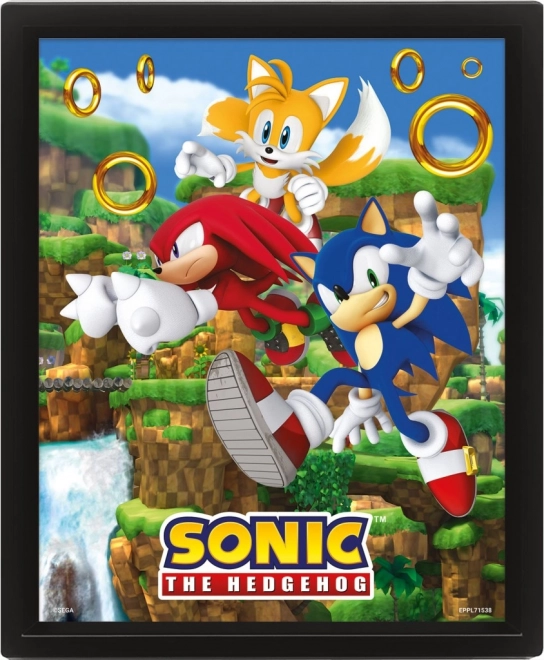 3D εικόνα SONIC – Catching Rings