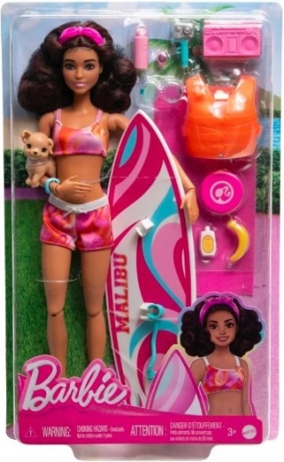 Barbie σέρφερ με αξεσουάρ παραλίας