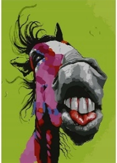 Norimpex Ζωγραφική με αριθμούς Crazy Horse 40 × 50 cm