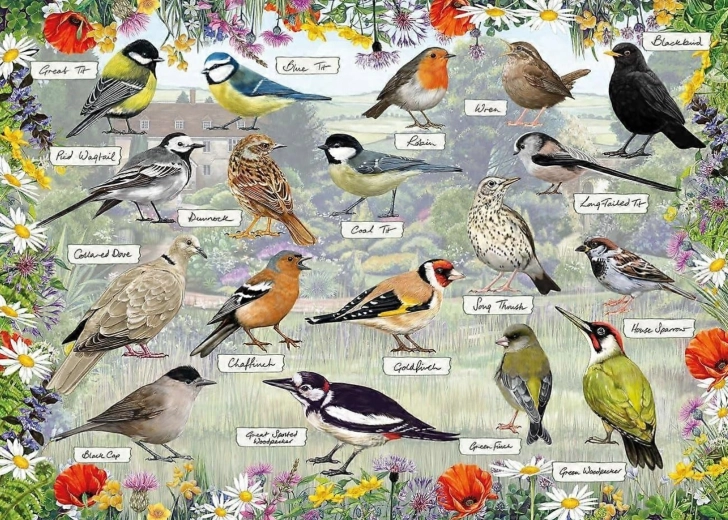 Παζλ Gibsons RSPB: Χαρούμενα πουλιά 1000 κομμάτια