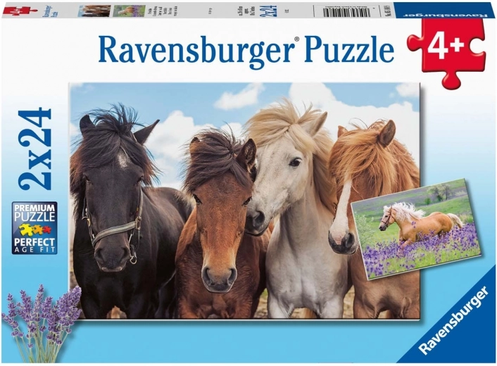 Ravensburger παζλ Άλογα 2×24 κομμάτια