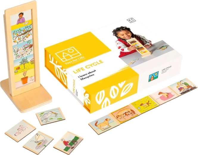 Toys for Life κύκλοι ζωής – εκπαιδευτικό σετ με κάρτες